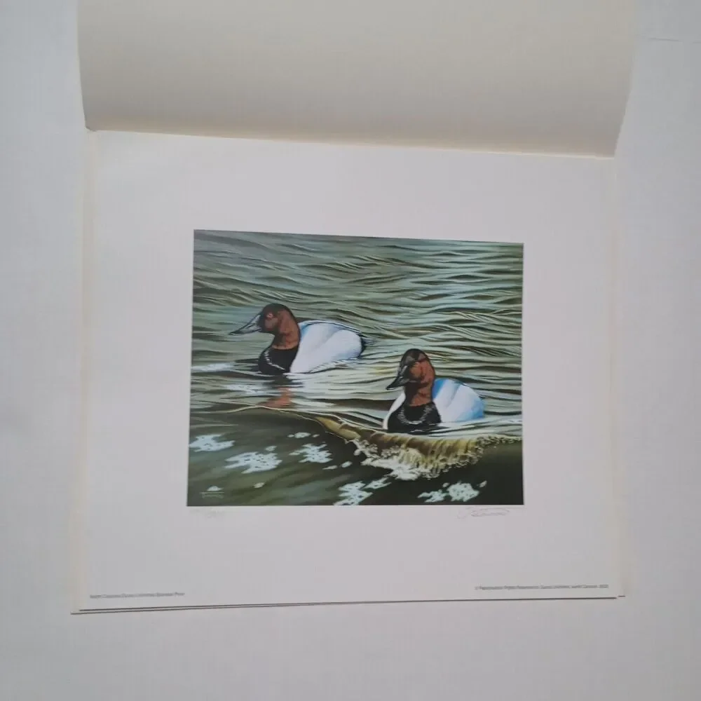 No Brand 2002 ducks